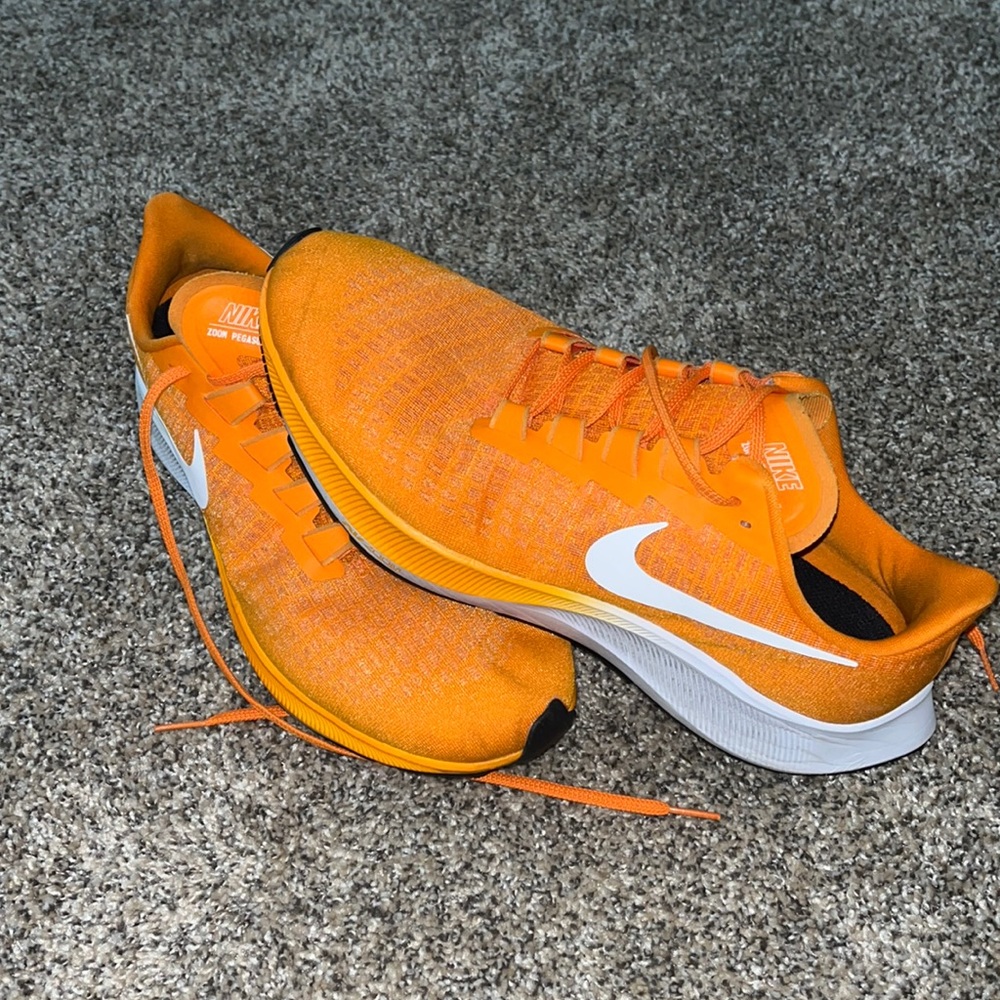 Mens Nike Zoom Pegasus shoes